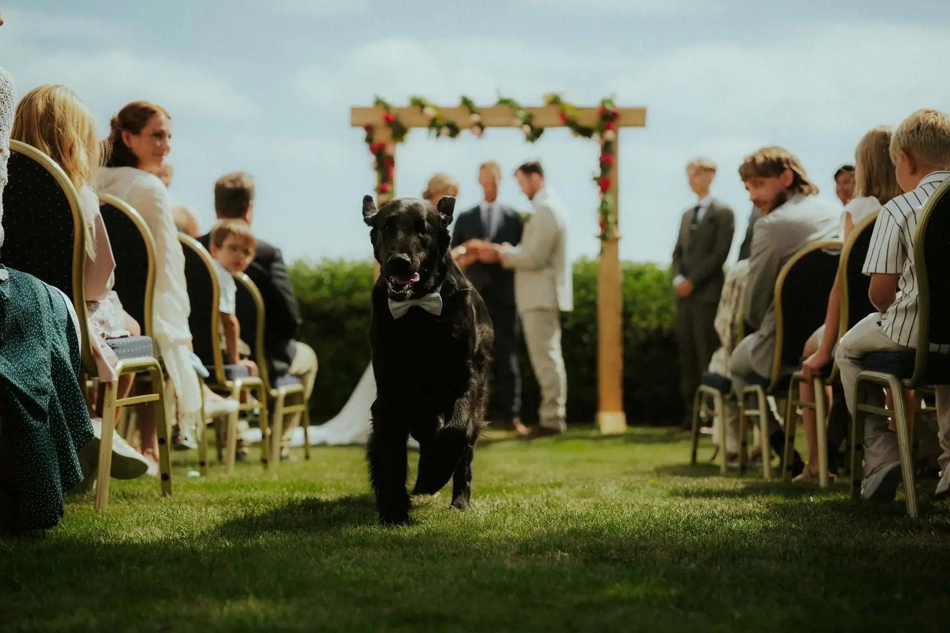 Bröllopsfotograf dokumenterar känslosamt ögonblick under vigsel