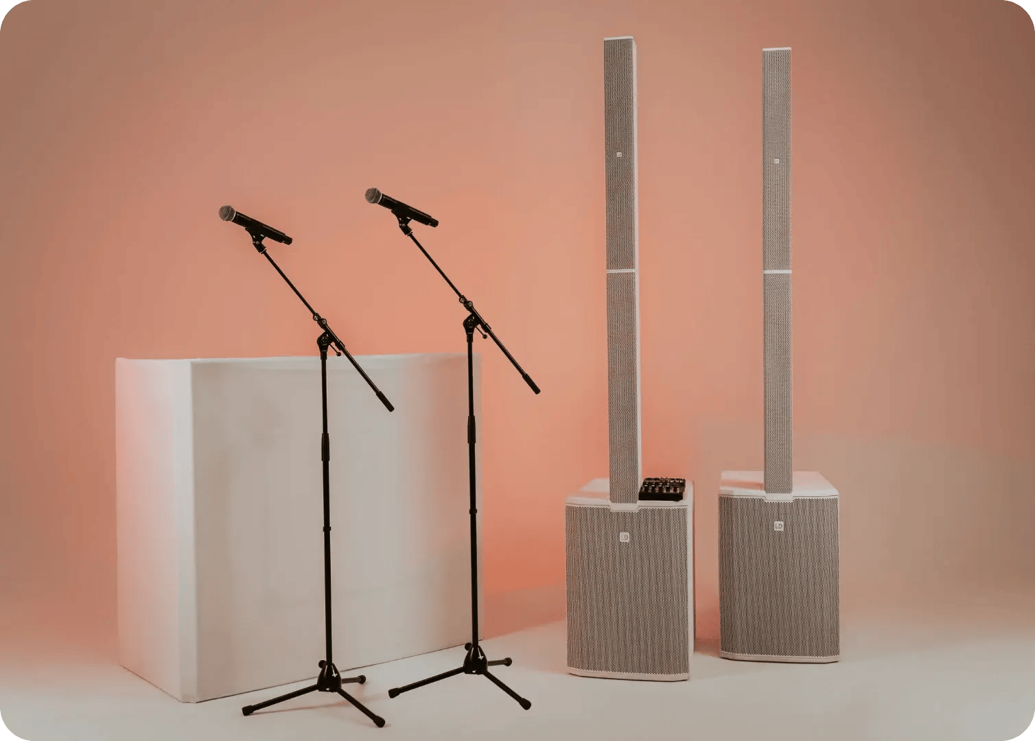 Trådlösa mikrofoner och teknik för tal under bröllopsmiddag